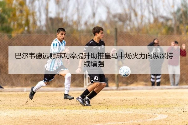 img_1783698704733_3737_1_725.jpg